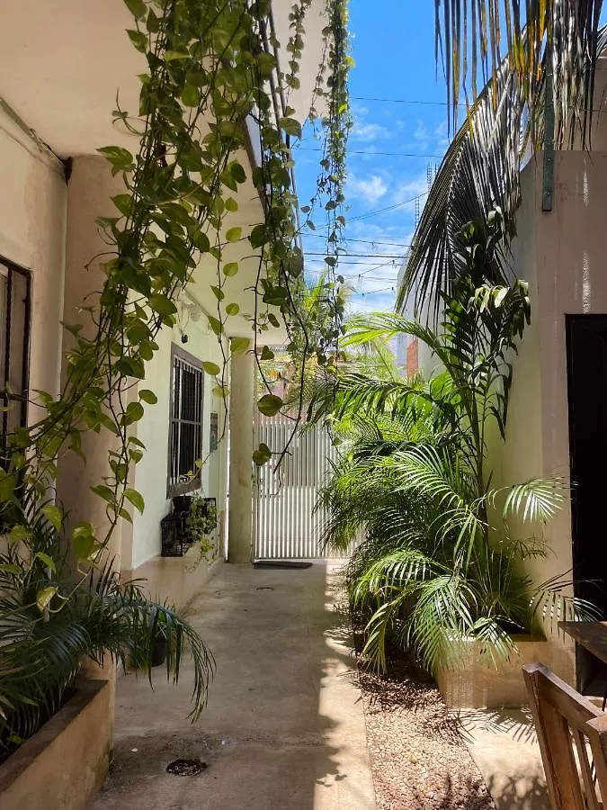 Hotel Anana Coliving Playa del Carmen