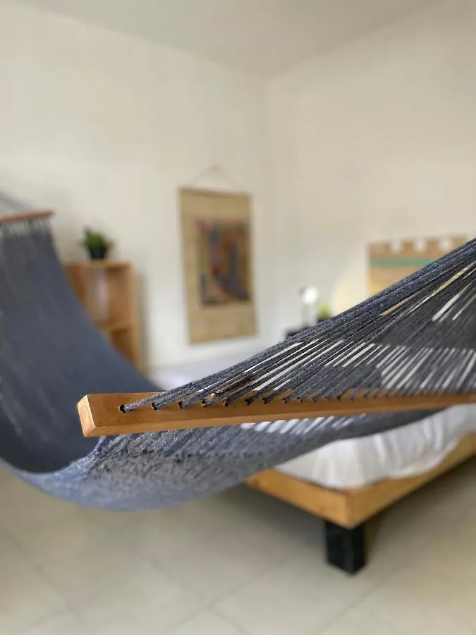 Värdshus Anana Coliving Hotell Playa del Carmen