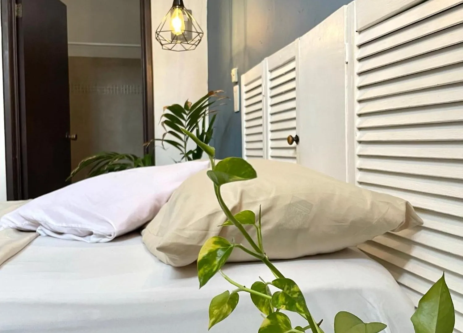 Hotel Anana Coliving Playa del Carmen