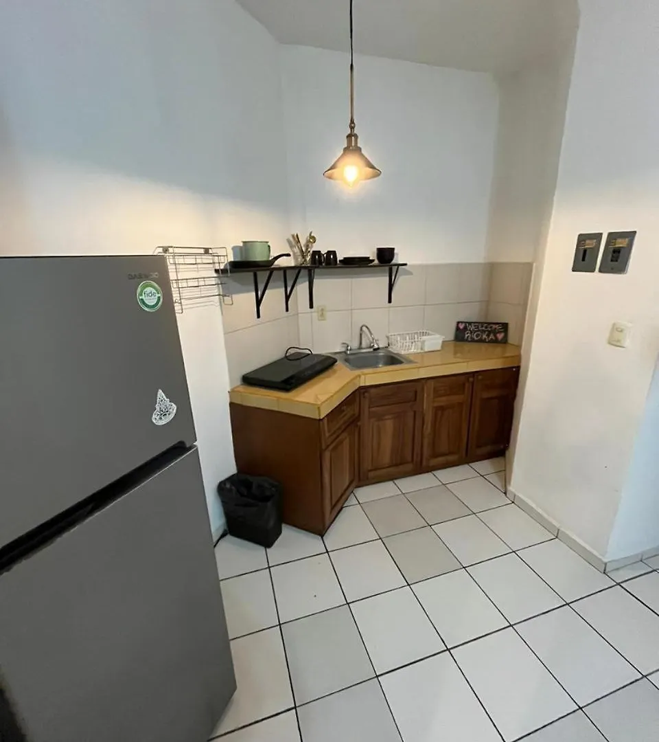 Gasthof Hotel Anana Coliving Playa del Carmen